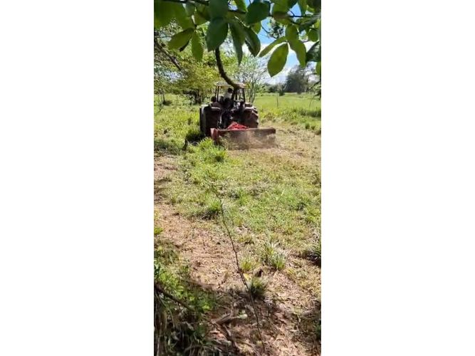 Finca en  Venta en Purisima - Miniatura 9