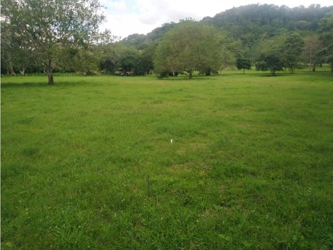 Finca en  Venta en Montería - Miniatura 2