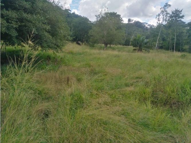 Finca en  Venta en Montería - Miniatura 7