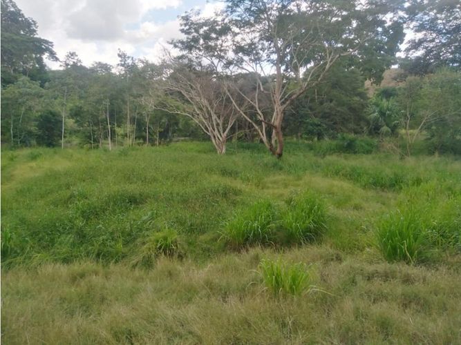 Finca en  Venta en Montería - Miniatura 8