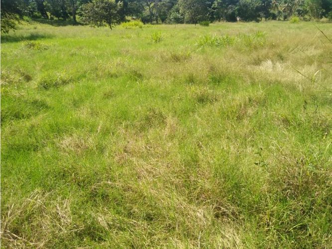 Finca en  Venta en Montería - Miniatura 9