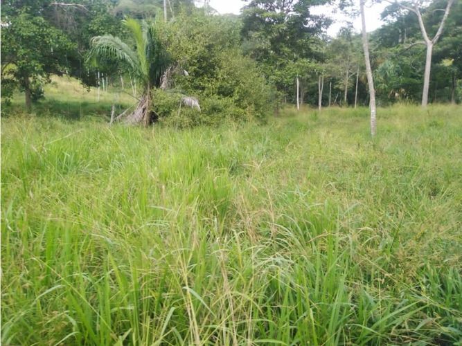 Finca en  Venta en Montería - Miniatura 10
