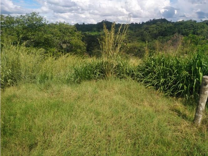 Finca en  Venta en Montería - Miniatura 16