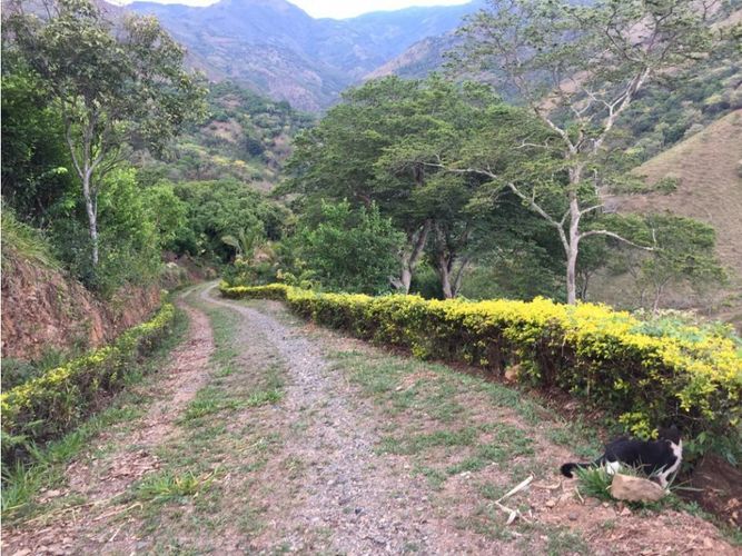 Finca en  Venta en Sopetran - Miniatura 2
