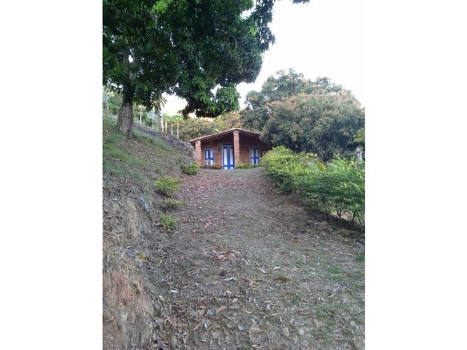 Finca en  Venta en Sopetran - Miniatura 4