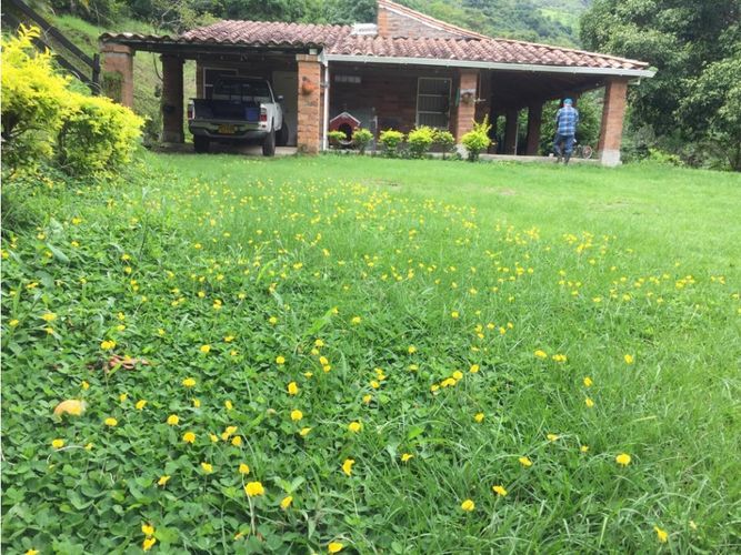 Finca en  Venta en Sopetran - Miniatura 5