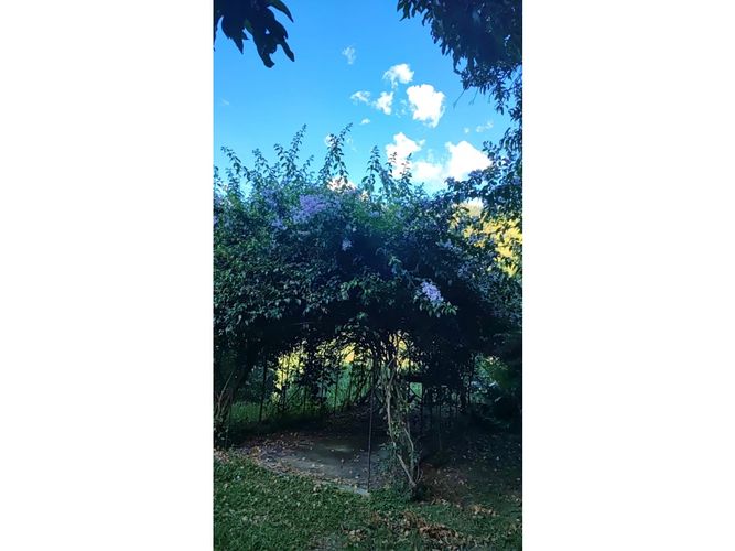 Finca en  Venta en Sopetran - Miniatura 20