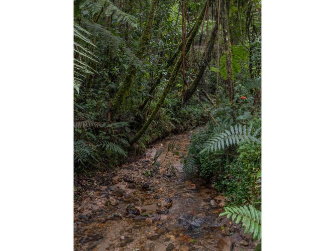 Finca en  Venta en El Retiro - Miniatura 7