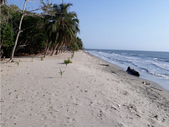 Finca en  Venta en San onofre - Miniatura 2