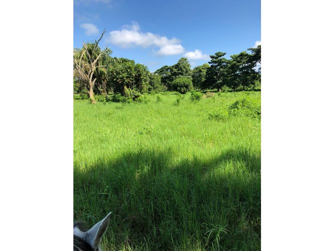 Finca en  Venta en San onofre - Miniatura 5