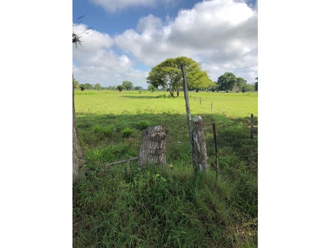 Finca en  Venta en San onofre - Miniatura 6