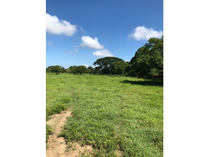 Finca en  Venta en San onofre - Miniatura 9