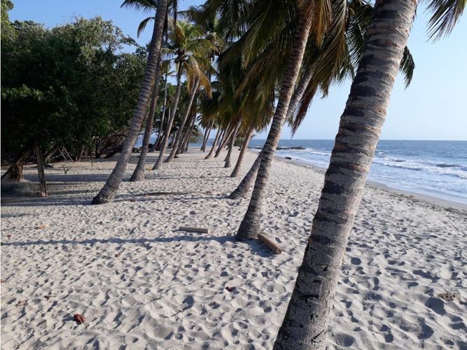 Finca en  Venta en San onofre - Miniatura 13