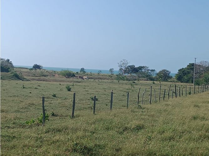 Finca en  Venta en Puerto escondido - Imagen 1