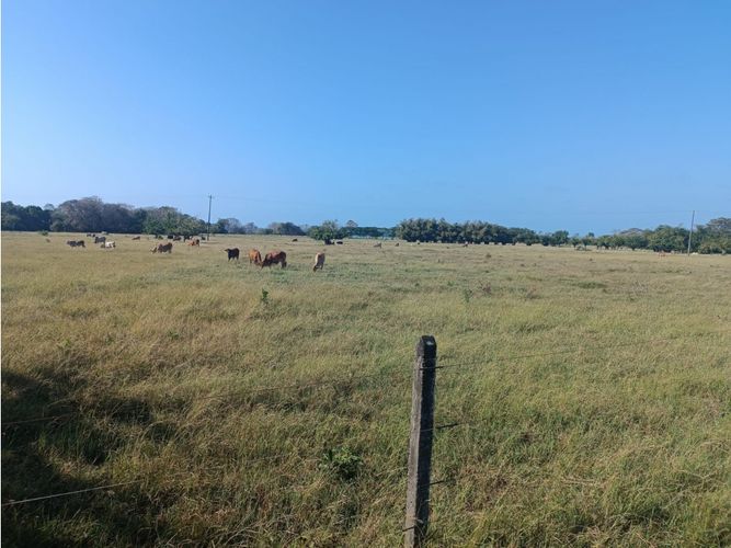 Finca en  Venta en Puerto escondido - Miniatura 3