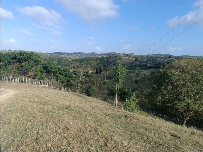 Finca en  Venta en Puerto escondido - Miniatura 5