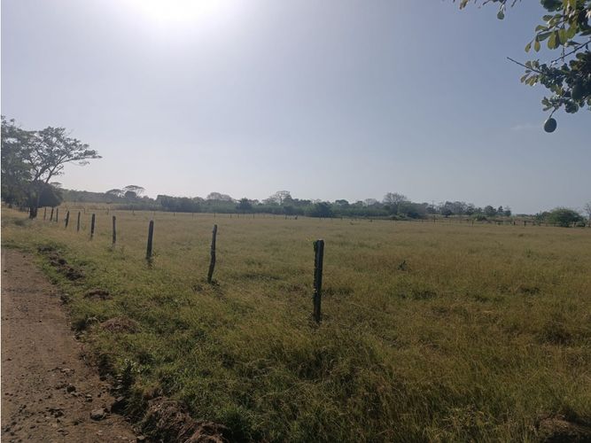 Finca en  Venta en Puerto escondido - Miniatura 7