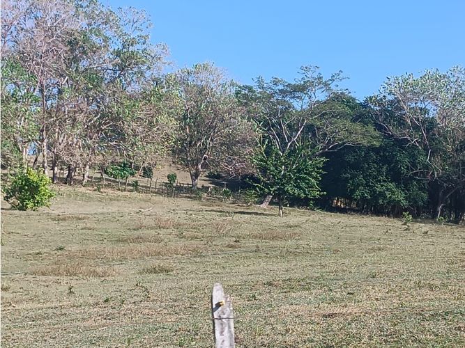 Finca en  Venta en Puerto escondido - Miniatura 10