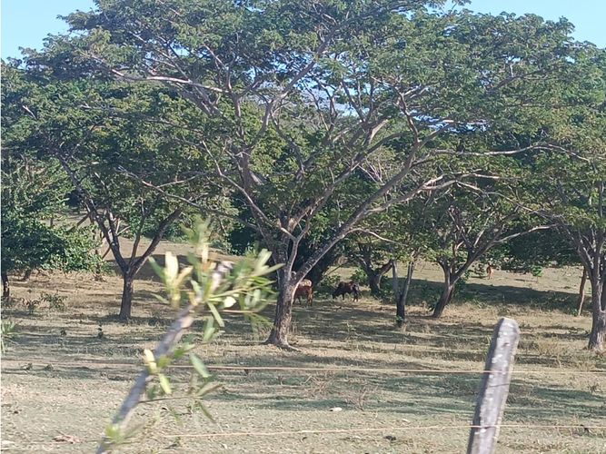 Finca en  Venta en Puerto escondido - Miniatura 12