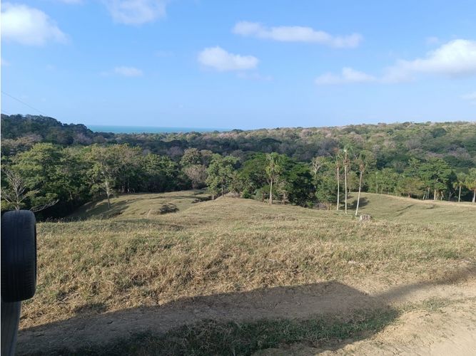 Finca en  Venta en Puerto escondido - Miniatura 13
