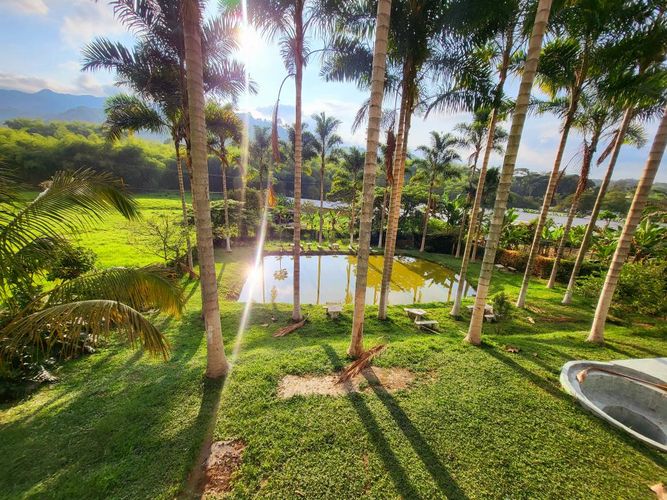 Finca en Venta en Combia, Pereira - Miniatura 3