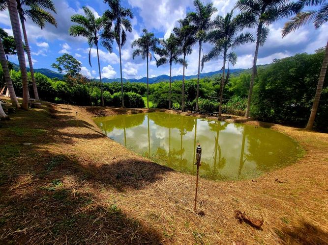 Finca en Venta en Combia, Pereira - Miniatura 5