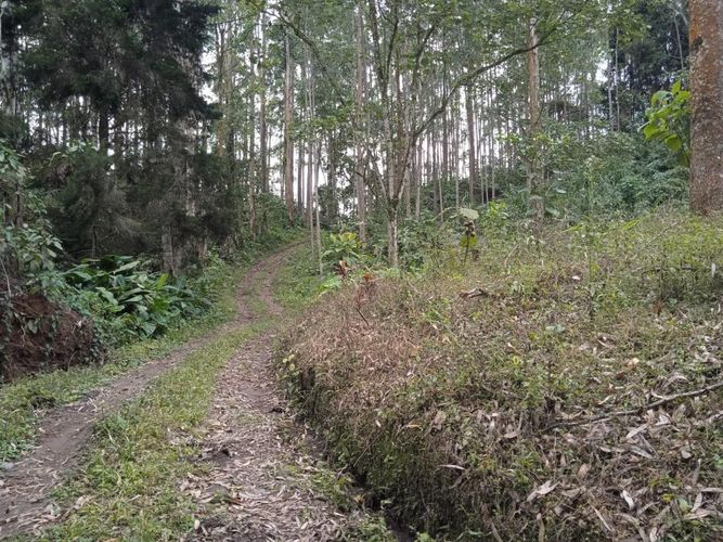 Finca en Venta en El rodeo, Dosquebradas - Imagen 1