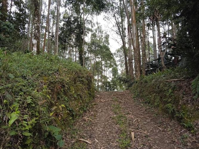 Finca en Venta en El rodeo, Dosquebradas - Miniatura 2