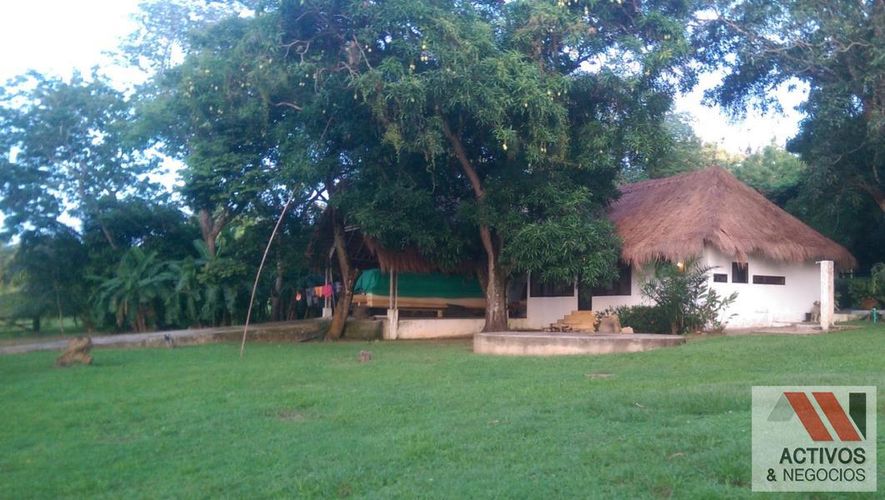 Finca en Venta en San jorge abajo, Ayapel - Miniatura 4