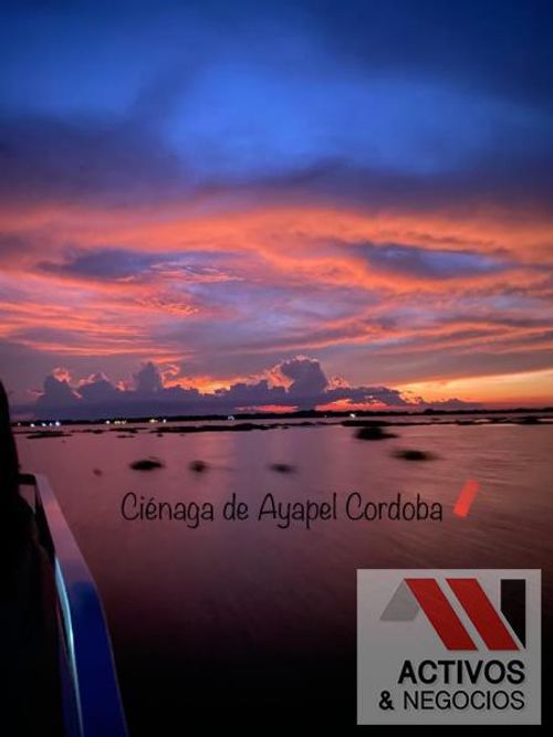 Finca en Venta en San jorge abajo, Ayapel - Miniatura 22