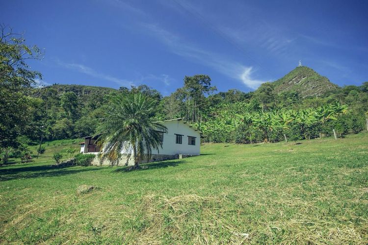Finca en Venta en Tibacuy - Miniatura 9