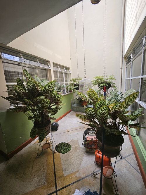 Casa en Venta en Laureles, Medellín - Miniatura 6