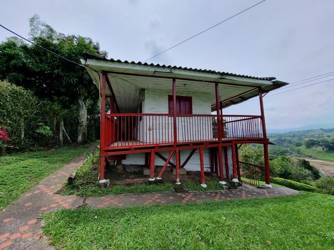 Finca en Arriendo en Sector plaza de bolivar, Pereira - Miniatura 3