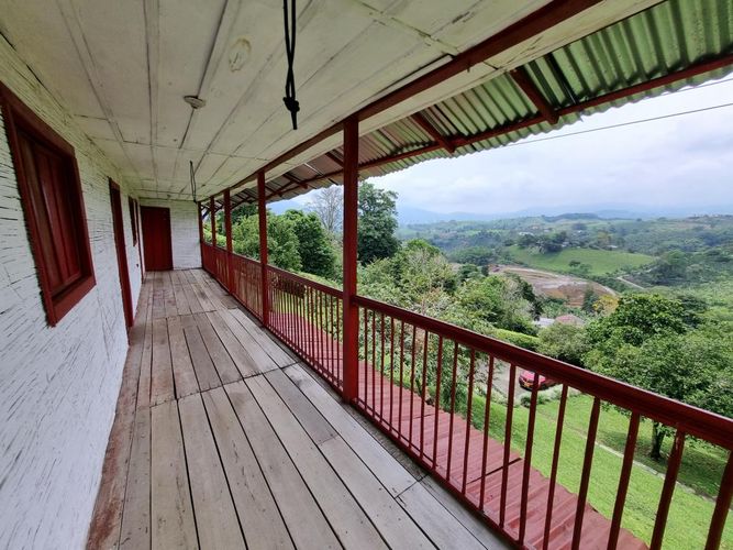 Finca en Arriendo en Sector plaza de bolivar, Pereira - Miniatura 8