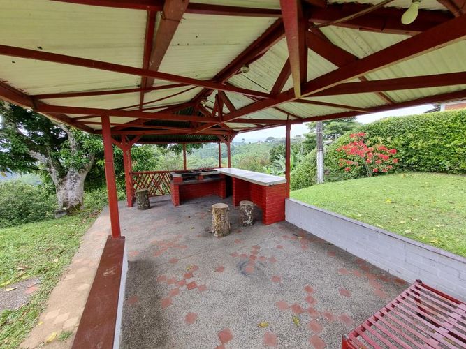 Finca en Arriendo en Sector plaza de bolivar, Pereira - Miniatura 12