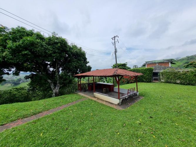 Finca en Arriendo en Sector plaza de bolivar, Pereira - Miniatura 15