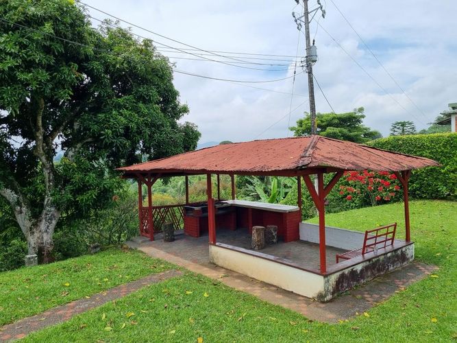 Finca en Arriendo en Sector plaza de bolivar, Pereira - Miniatura 16