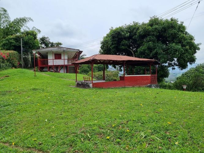 Finca en Arriendo en Sector plaza de bolivar, Pereira - Miniatura 17
