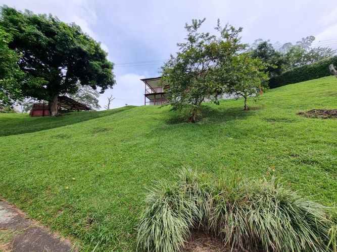 Finca en Arriendo en Sector plaza de bolivar, Pereira - Miniatura 19