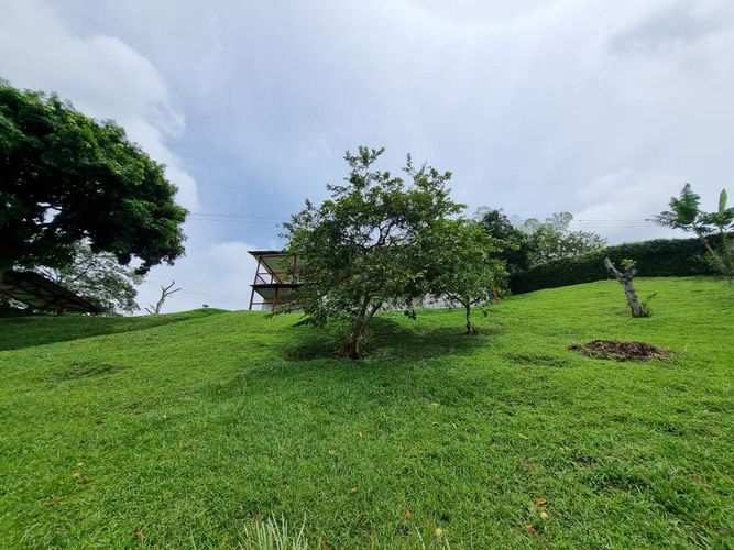 Finca en Arriendo en Sector plaza de bolivar, Pereira - Miniatura 20