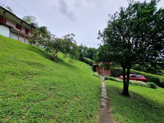Finca en Arriendo en Sector plaza de bolivar, Pereira - Miniatura 22
