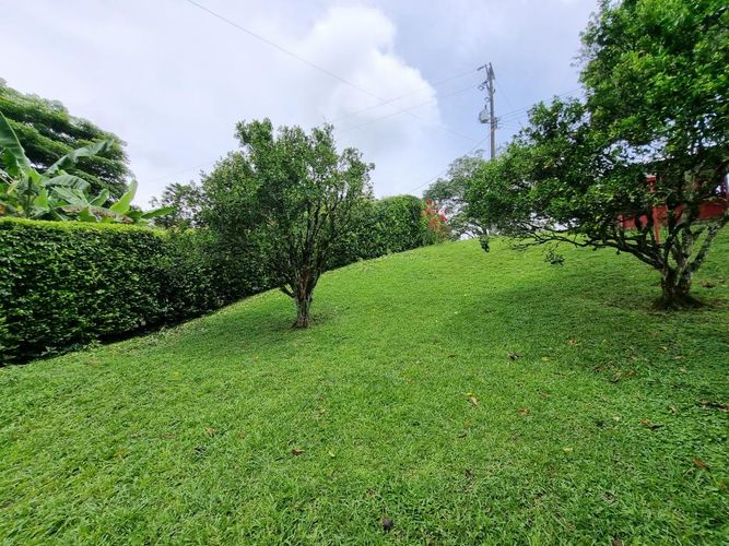 Finca en Arriendo en Sector plaza de bolivar, Pereira - Miniatura 23