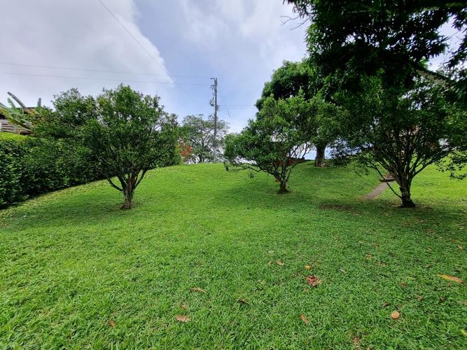 Finca en Arriendo en Sector plaza de bolivar, Pereira - Miniatura 24