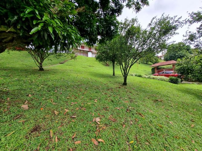 Finca en Arriendo en Sector plaza de bolivar, Pereira - Miniatura 25
