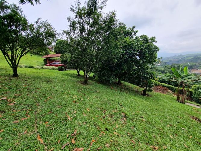 Finca en Arriendo en Sector plaza de bolivar, Pereira - Miniatura 26