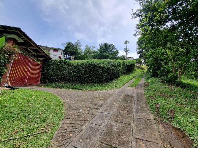 Finca en Arriendo en Sector plaza de bolivar, Pereira - Miniatura 28