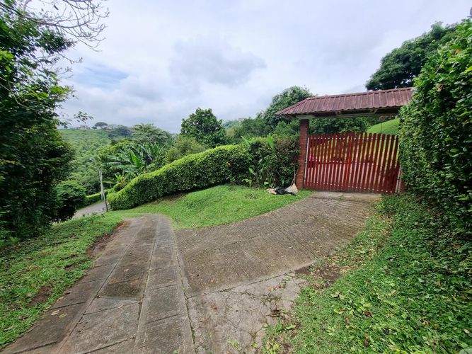 Finca en Arriendo en Sector plaza de bolivar, Pereira - Miniatura 29