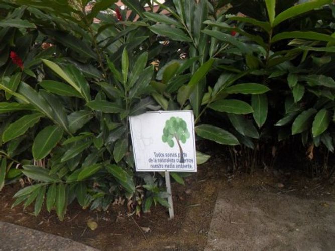 Oficina en Venta en Conquistadores, Medellín - Miniatura 18