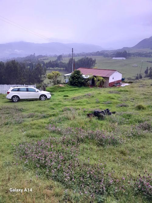 Finca en Venta en Carmen de carupa - Miniatura 10
