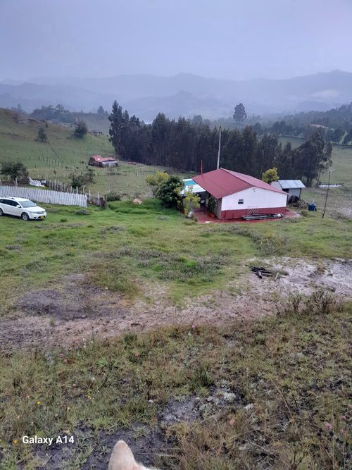 Finca en Venta en Carmen de carupa - Miniatura 11